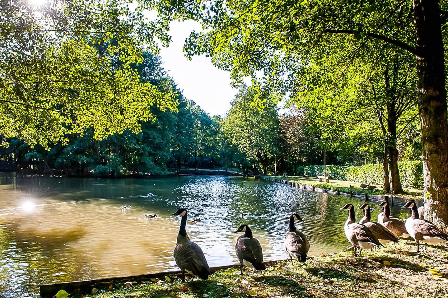 Le Clos des Vignes
