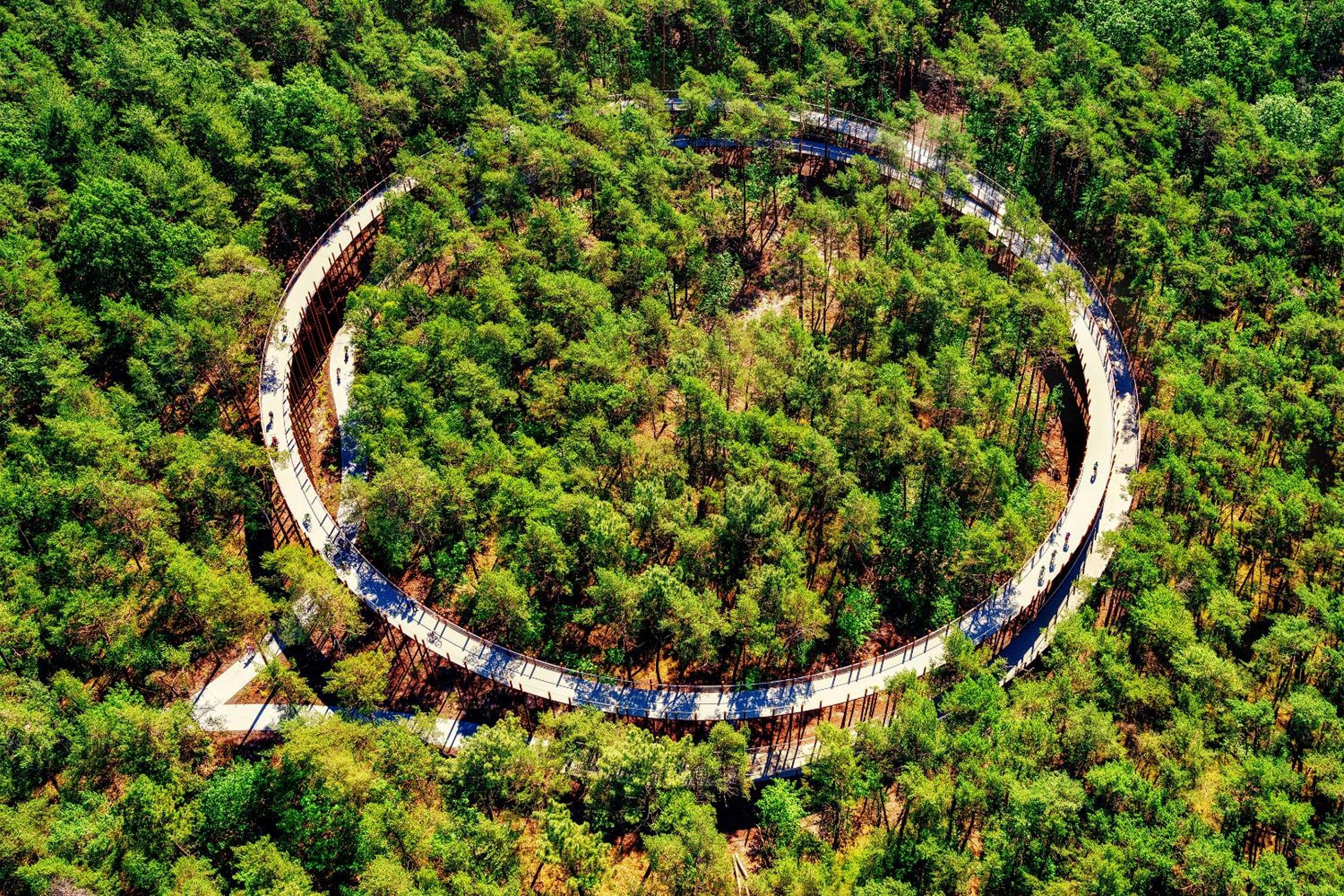 Green Resort Limburg