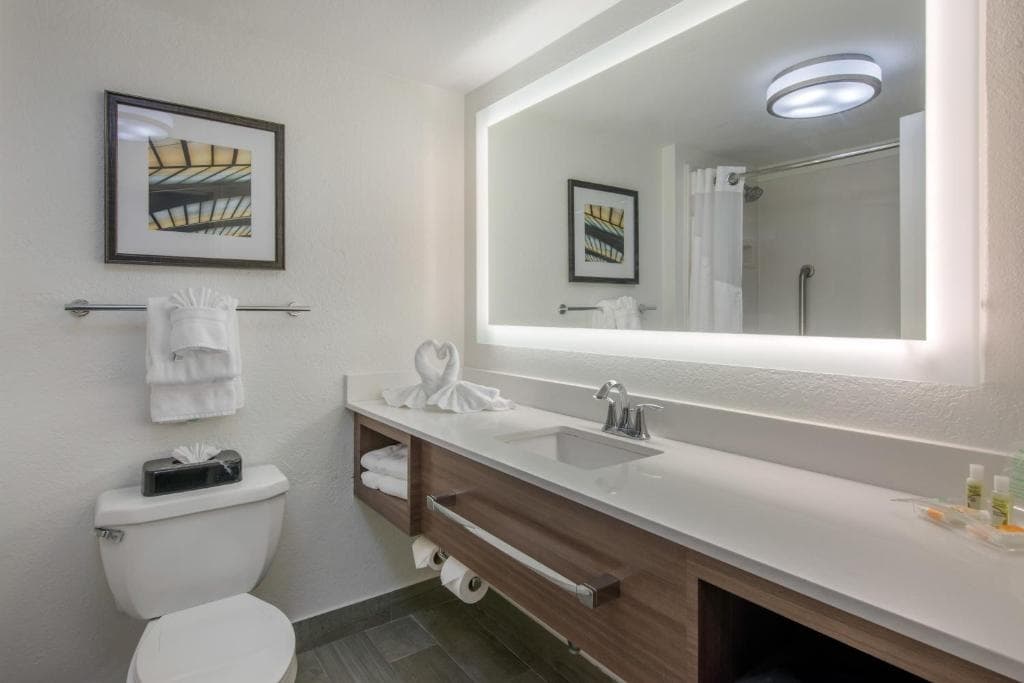 Holiday Inn Savannah S - I-95 Gateway