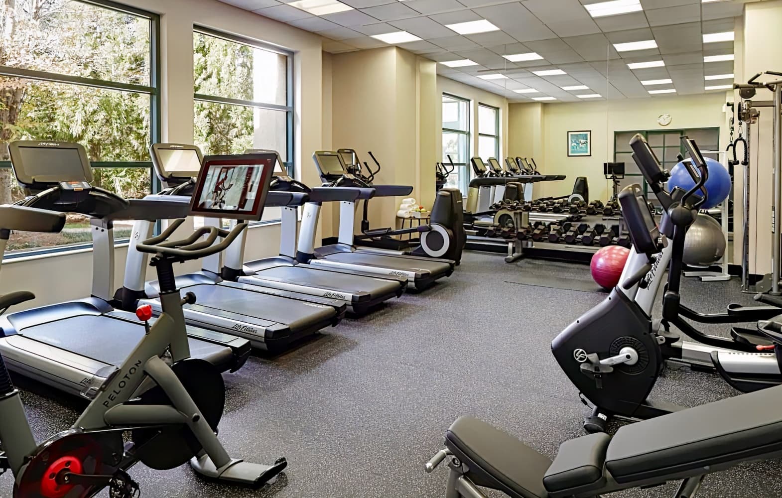 Atlanta Marriott Alpharetta