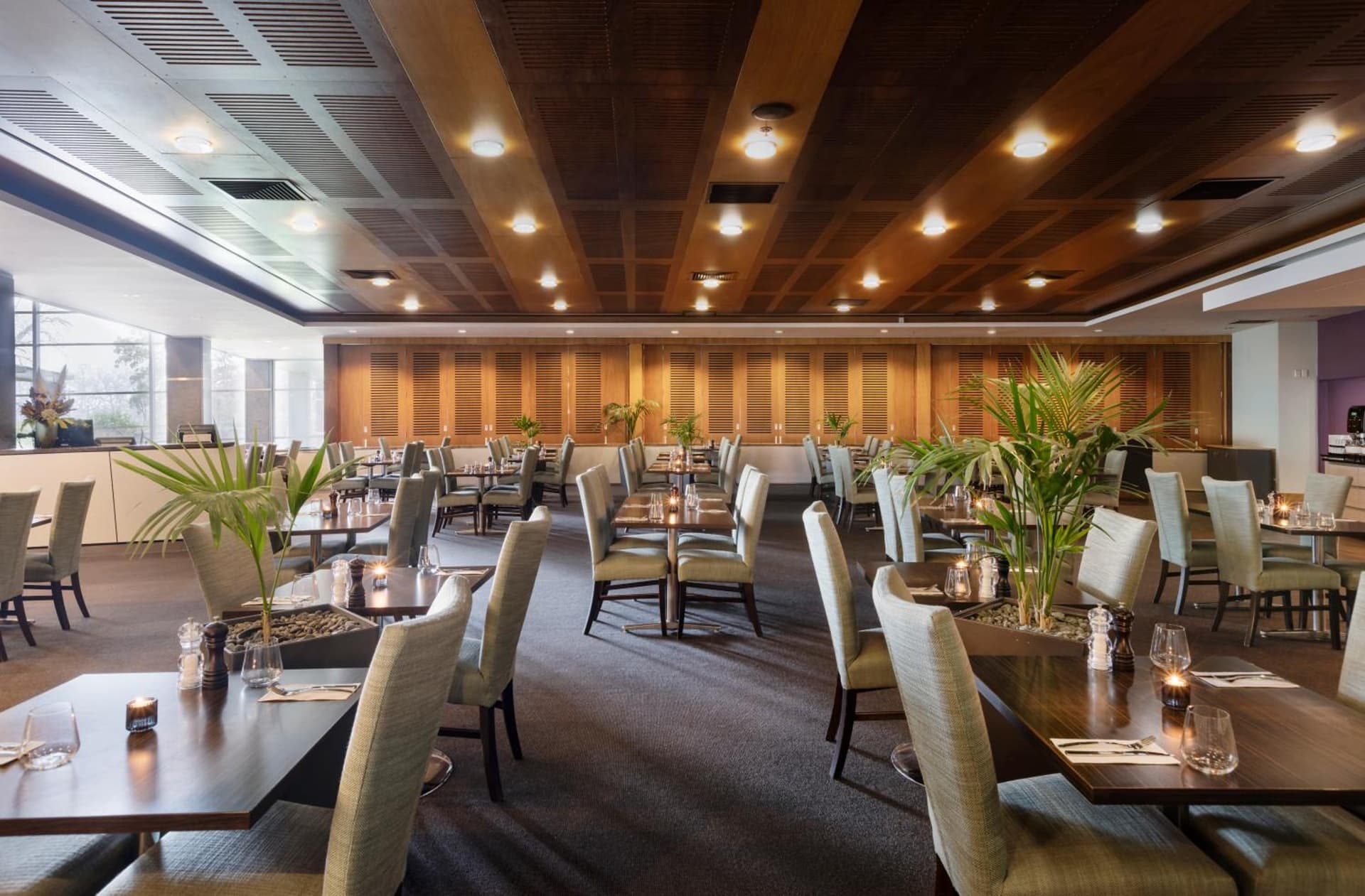 ibis Auckland Ellerslie