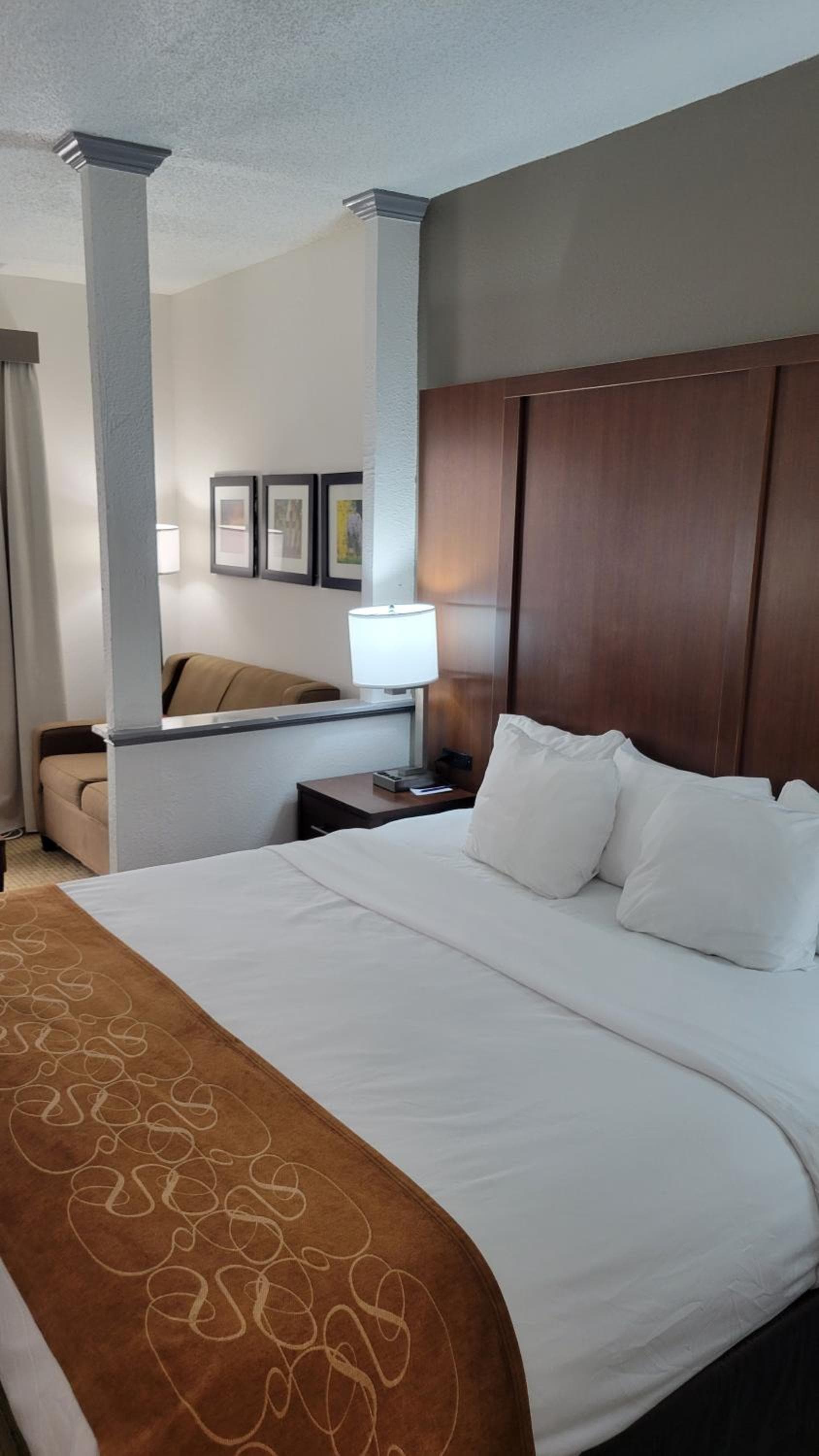 Comfort Suites Cumming-Atlanta near Northside Hospital Forsyth