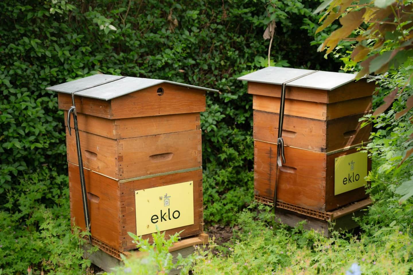 Eklo Hotels Lille