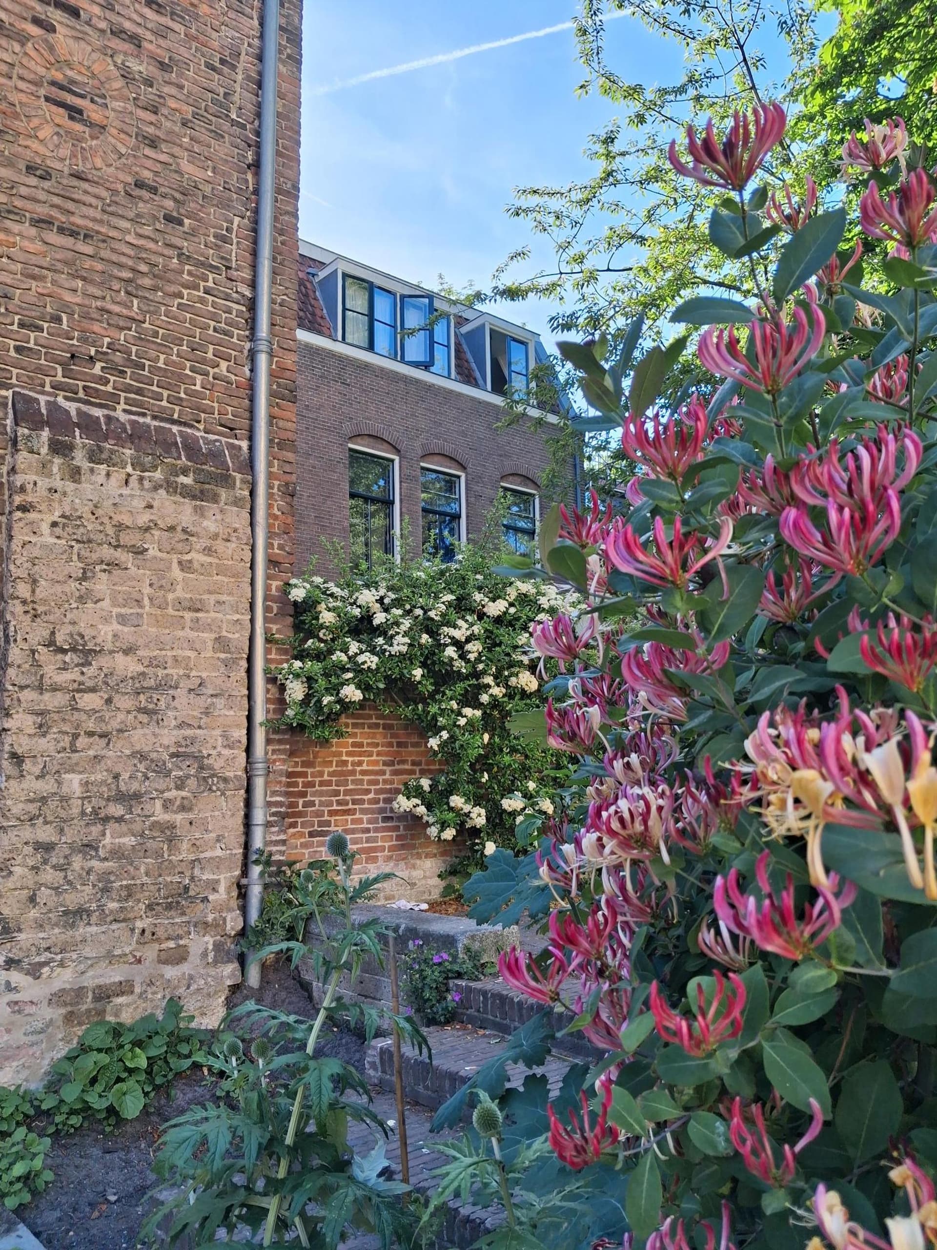Conscious Hotel Oudegracht Utrecht