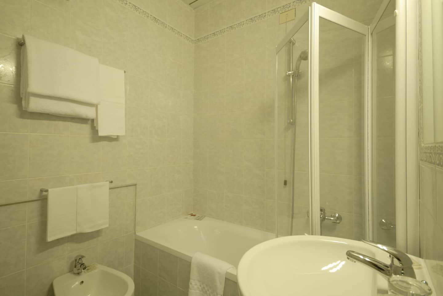 Hotel Delta Florence